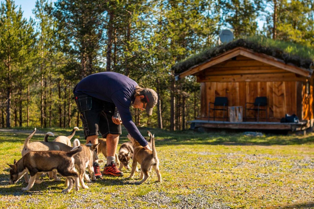 Jotunheimen Husky Lodge Randsverk Екстер'єр фото