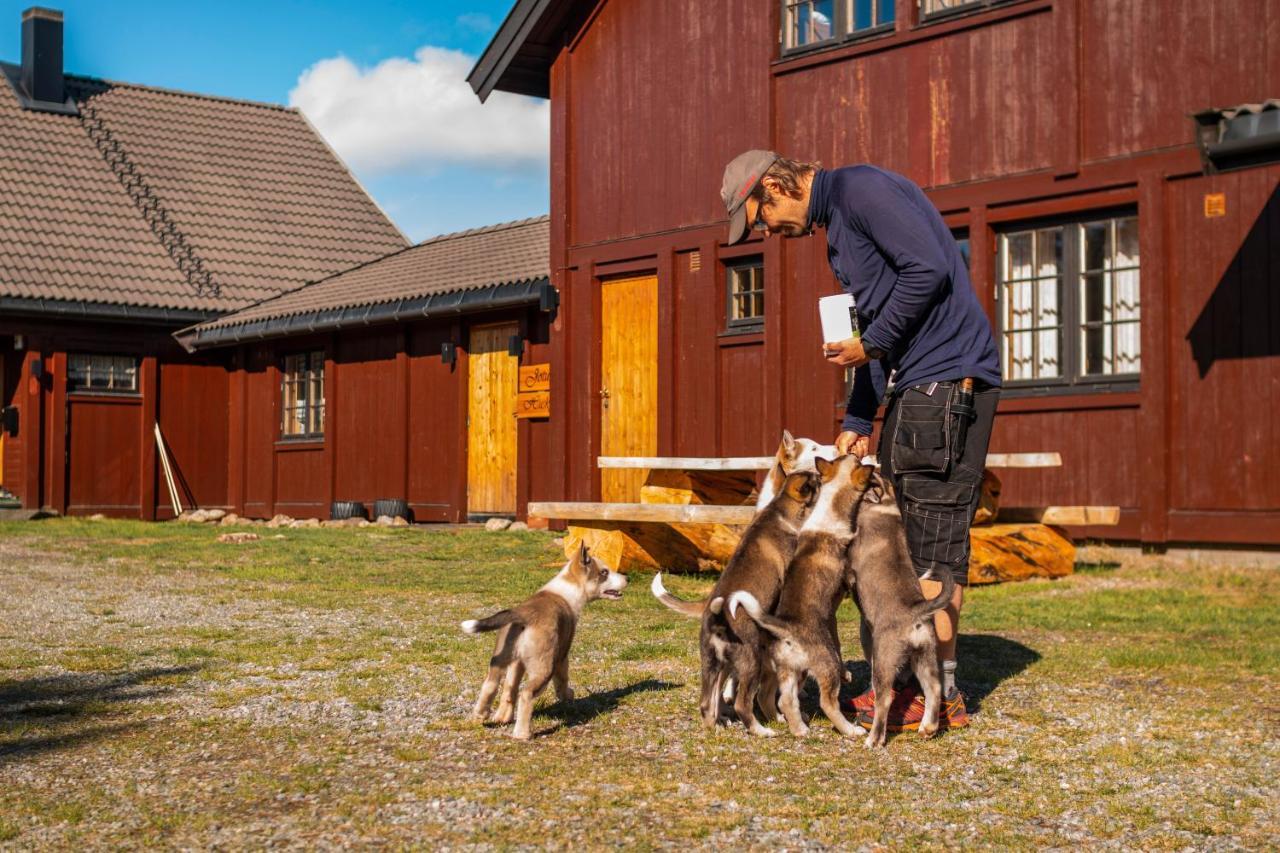 Jotunheimen Husky Lodge Randsverk Екстер'єр фото